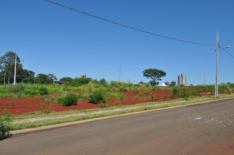 Terreno - Venda - Amauri Rainha - Foz Do Iguau - PR